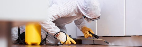 15-pest-control-facts-1702741728