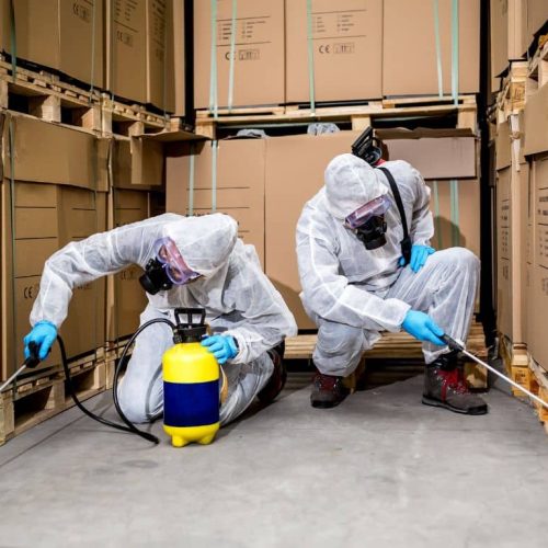 Commercial-Pest-Control-in-Sacramento-CA