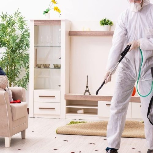 Pest-Control-Service-by-Hybrid-Pest-Control-in-Midvale-UT-1200x600